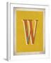 Vintage W-Kindred Sol Collective-Framed Art Print