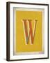 Vintage W-Kindred Sol Collective-Framed Art Print