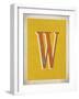 Vintage W-Kindred Sol Collective-Framed Art Print