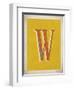 Vintage W-Kindred Sol Collective-Framed Art Print