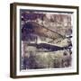 Vintage War Aircraft-Mindy Sommers-Framed Giclee Print