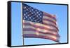 Vintage Weathered American Flag USA Patriot Photo Poster-null-Framed Stretched Canvas