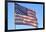 Vintage Weathered American Flag USA Patriot Photo Poster-null-Framed Standard Poster