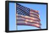 Vintage Weathered American Flag USA Patriot Photo Poster-null-Framed Poster