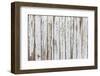 Vintage White Background of Natural Wood Old Wall-H2Oshka-Framed Photographic Print