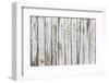 Vintage White Background of Natural Wood Old Wall-H2Oshka-Framed Photographic Print