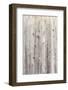 Vintage White Background Wood Wall.-H2Oshka-Framed Photographic Print