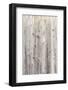 Vintage White Background Wood Wall.-H2Oshka-Framed Photographic Print