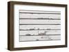 Vintage White Wood Background-rtsubin-Framed Photographic Print