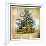 Vintage Winter Background With Pine Tree-Maugli-l-Framed Art Print