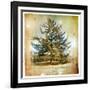 Vintage Winter Background With Pine Tree-Maugli-l-Framed Art Print