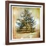 Vintage Winter Background With Pine Tree-Maugli-l-Framed Art Print