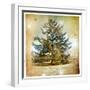 Vintage Winter Background With Pine Tree-Maugli-l-Framed Art Print