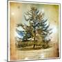 Vintage Winter Background With Pine Tree-Maugli-l-Mounted Art Print
