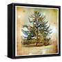 Vintage Winter Background With Pine Tree-Maugli-l-Framed Stretched Canvas