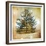 Vintage Winter Background With Pine Tree-Maugli-l-Framed Premium Giclee Print