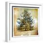 Vintage Winter Background With Pine Tree-Maugli-l-Framed Art Print