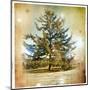 Vintage Winter Background With Pine Tree-Maugli-l-Mounted Art Print