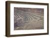 Vintage Wood Wall Background-dziewul-Framed Photographic Print