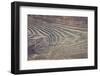 Vintage Wood Wall Background-dziewul-Framed Photographic Print