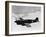 Vintage World War II Photo of a P-40 Fighter Plane-Stocktrek Images-Framed Photographic Print