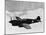 Vintage World War II Photo of a P-40 Fighter Plane-Stocktrek Images-Mounted Photographic Print