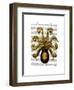 Vintage Yellow Octopus Underside-Fab Funky-Framed Art Print