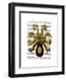 Vintage Yellow Octopus Underside-Fab Funky-Framed Art Print