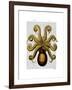 Vintage Yellow Octopus Underside-Fab Funky-Framed Art Print