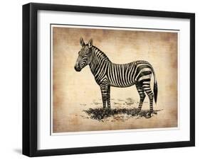 Vintage Zeebra-NaxArt-Framed Art Print