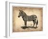 Vintage Zeebra-NaxArt-Framed Art Print