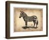 Vintage Zeebra-NaxArt-Framed Art Print