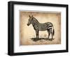 Vintage Zeebra-NaxArt-Framed Art Print