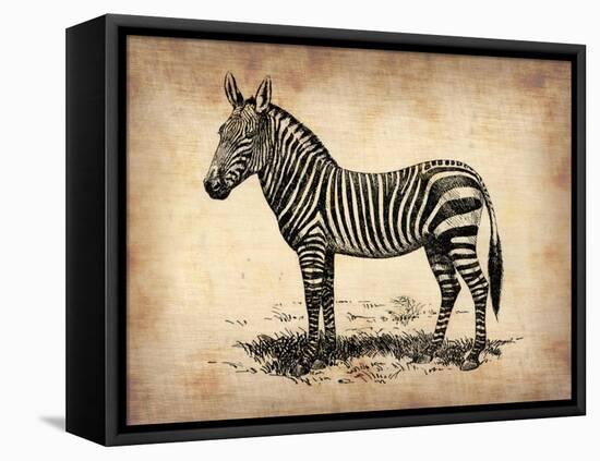 Vintage Zeebra-NaxArt-Framed Stretched Canvas