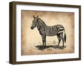 Vintage Zeebra-NaxArt-Framed Art Print