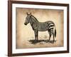 Vintage Zeebra-NaxArt-Framed Art Print