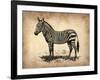 Vintage Zeebra-NaxArt-Framed Art Print