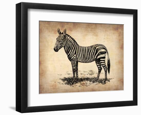 Vintage Zeebra-NaxArt-Framed Art Print