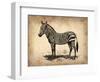 Vintage Zeebra-NaxArt-Framed Art Print