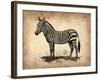 Vintage Zeebra-NaxArt-Framed Art Print