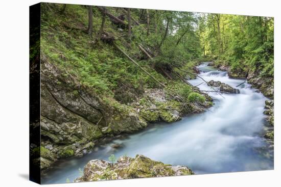 Vintgar Gorge-Rob Tilley-Stretched Canvas