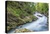 Vintgar Gorge-Rob Tilley-Stretched Canvas