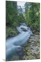 Vintgar Gorge-Rob Tilley-Mounted Premium Photographic Print