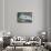 Vintgar Gorge-Rob Tilley-Framed Stretched Canvas displayed on a wall