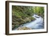 Vintgar Gorge-Rob Tilley-Framed Photographic Print