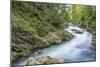 Vintgar Gorge-Rob Tilley-Mounted Photographic Print