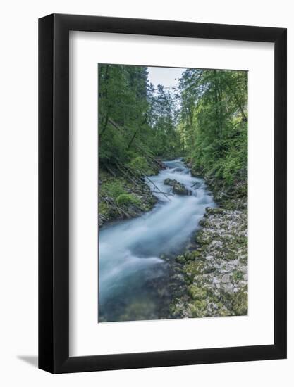 Vintgar Gorge-Rob Tilley-Framed Photographic Print