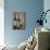 Vintner's Choice-Jennifer Garant-Giclee Print displayed on a wall
