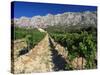 Vinyard at the Foot of Motagne Ste-Victorie Near Aix-En-Provence, Bouches-De-Rhone, France-Ruth Tomlinson-Stretched Canvas