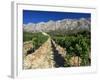 Vinyard at the Foot of Motagne Ste-Victorie Near Aix-En-Provence, Bouches-De-Rhone, France-Ruth Tomlinson-Framed Photographic Print